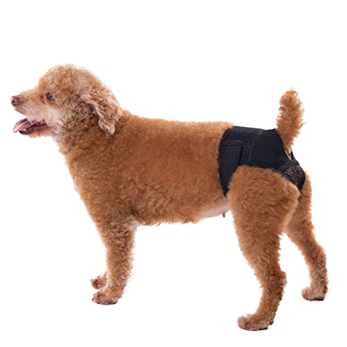 Image of Reusable Female Dog Pants to Prevent Cross-Tailing, Washable Underwear for Dogs in Heat (L, Black)