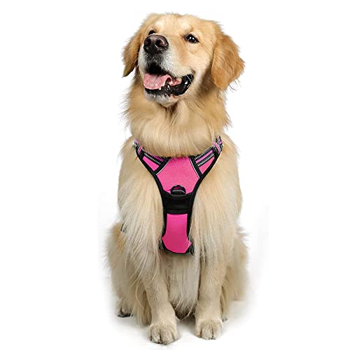 rabbitgoo Dog Harness Large Dog No Pull Pet Harness with 2 Leash Clips, Adjustable Soft Padded Pet Vest