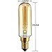 T25/T28 Candelabra Vintage Bulbs,Incandescent Filament Light Bulb,E12 Candelabra Base(40W),Light Bulbs 110-130V (40)