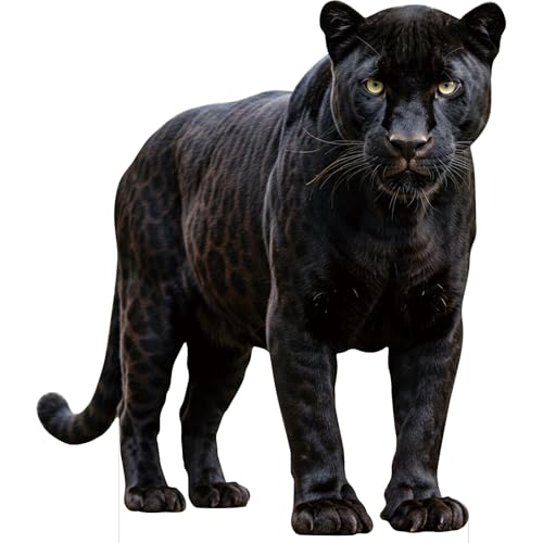 Image of Black Panther 2FT Life Size Cardboard Cutout, Fun Animal Standup | Cardboard Cutout for Events, Party Decor, Birthday, Photos, Home Decor, Kids Room, Gift, Special Occasion, 1 PC