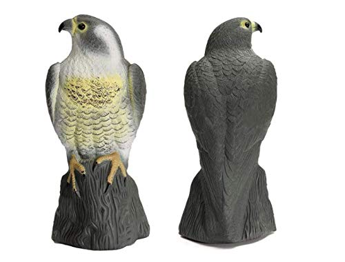 Garden Mile Large Realistic Falcon Decoy Bird Deterrant Lifelike Full Bodied Bird Of Prey Pest Control Garden Statue Realistic Cat Birds Pest Repeller Garden Pond Decoration