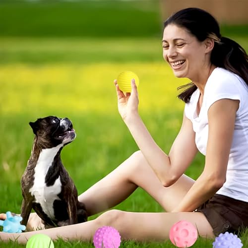 Favuit Hundeball Unzerstörbar, 6 Stück Hundespielzeug Ball Set Quietschend Dauerhaftes Jagdbälle Hunde Spielzeugbälle Schwimmfähig für Aggressive Kauer Kleine und Mittelgroße Hunde