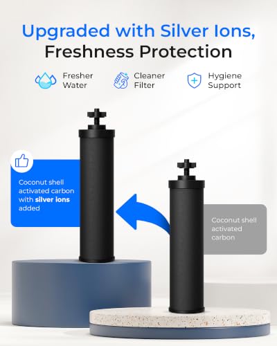 Image of Waterdrop Silver Ions Black Water Filter, Replacement for Berkey BB9-2