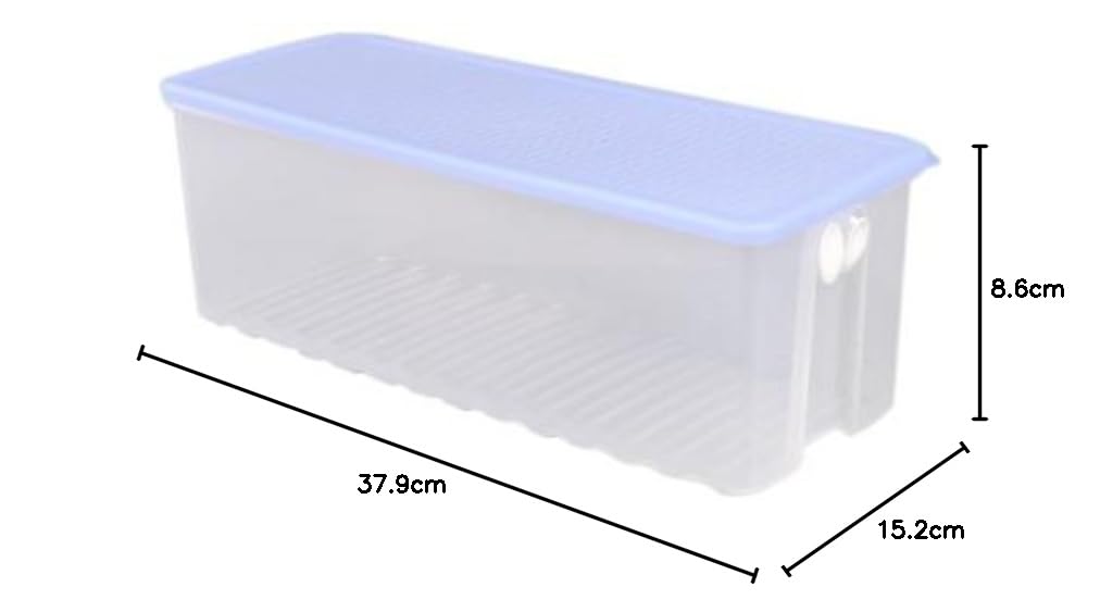 Tupperware Fridge Large Smart Box, 4.6 Litres (165) : Amazon.ca: Home