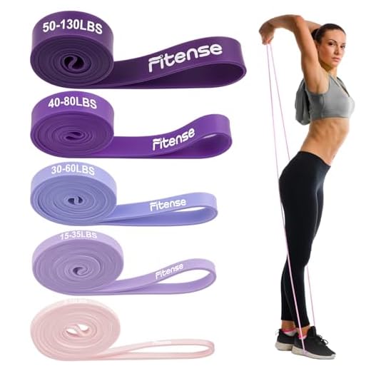Fitense Bandas de Resistencia para Mujeres, Set de 5 Pull Up Bandas Elasticas Musculacion para Mujer con Anclaje de Puerta/Asas/Bolsa/Póster,Bandas Elasticas Fitness para Ejercicios/Yoga/Fisioterapia