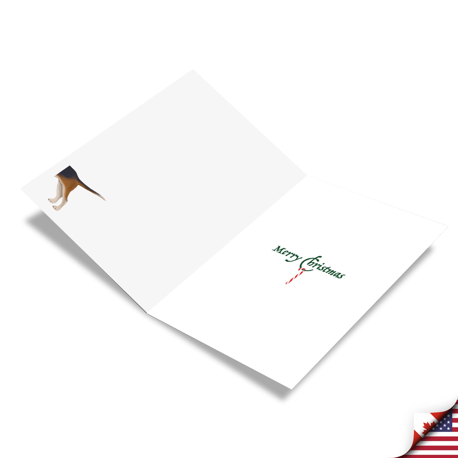 The Best Card Company Noel Animals-Owls C9558JXSG-B12x1 Lot de 12 cartes de vœux de Noël avec enveloppes 12 x 17 cm