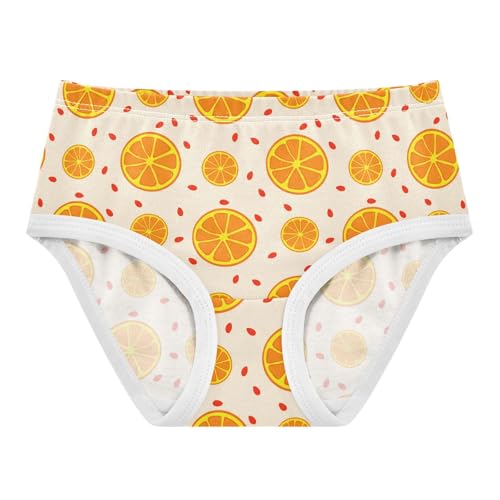 Fruit Orange Yellow Toddler Girls's Underwear 2T 2301901