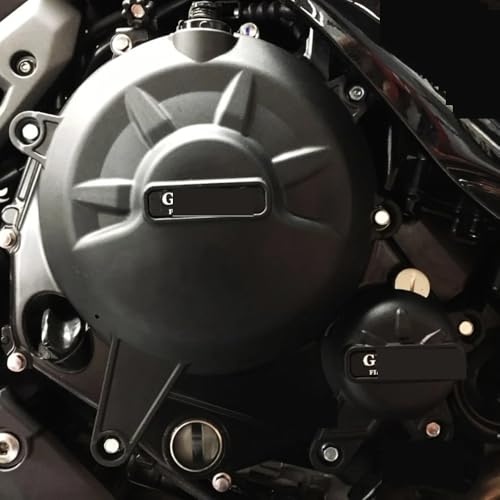 Protector cárter Z650 rutas seguras y curvas 2