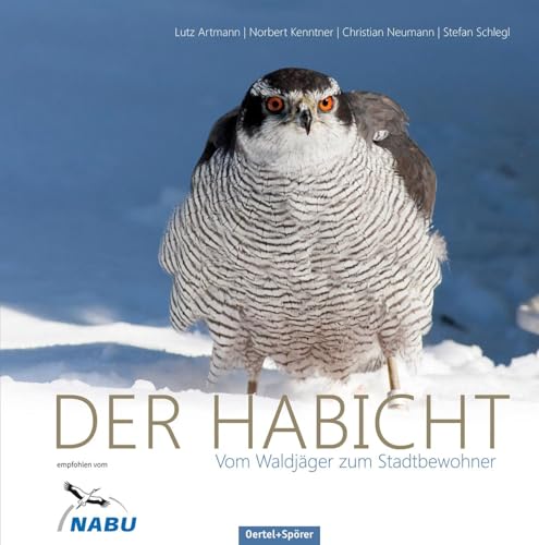 Der Habicht - Vom Waldjäger zum Stadtbewohner