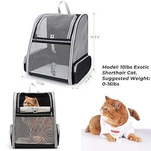Lollimeow-Cat-Backpack-Carrier-Ideal-for-Small-Animals-Puppies-Outdoor-Adventures-Vet-Transport-Fully-Ventilated-Design-for-Ultimate-Comfort-On-The-Go - Cucciolini Doodles Lollimeow-Cat-Backpack-Carrier-Ideal-for-Small-Animals-Puppies-Outdoor-Adventures-Vet-Transport-Fully-Ventilated-Design-for-Ultimate-Comfort-On-The-Go