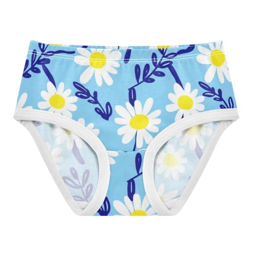Designer Girls Underwear Toddlers 2t Cotton Girl Panties Cute Floral Daisies Blue Leafy Briefs Underpants