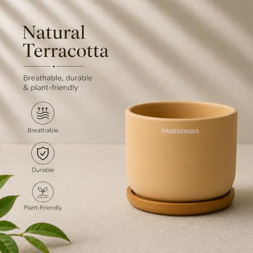 Image of Habere India-All the Cultures Fabricating India Plant Pot with Wooden Plate | Flower Pots for Dining Table & Home Decor | Terracotta Pot for Living Room Decoration (Beige, Dia11 x H10 cm)