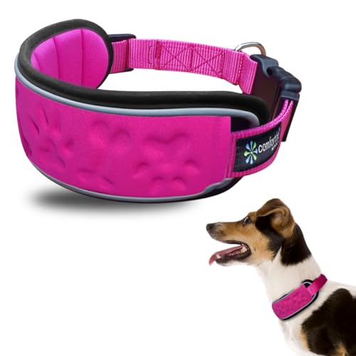 Collar para perro reflectante y acolchado de neopreno