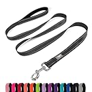 PenSeepet Dog Leash 6 FT Padded Handle Nylon Reflective Dogs Leashes for Medium Dogs Black