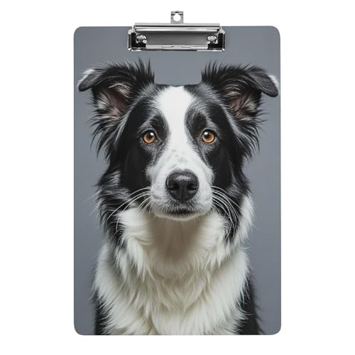 Porte-bloc Border Collie acrylique fournitures bureau enseignant