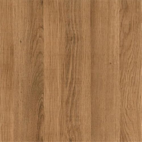 Image of Martina Rectangular 47.5'' Wide Desk in Black /Golden Oak