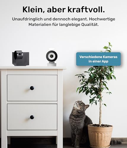 Haustierkamera Pettec Cam 360° mit App für Hunde und Katzen
