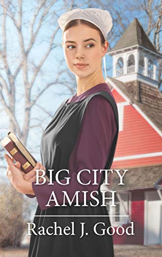 Big City Amish 1335454950 Book Cover