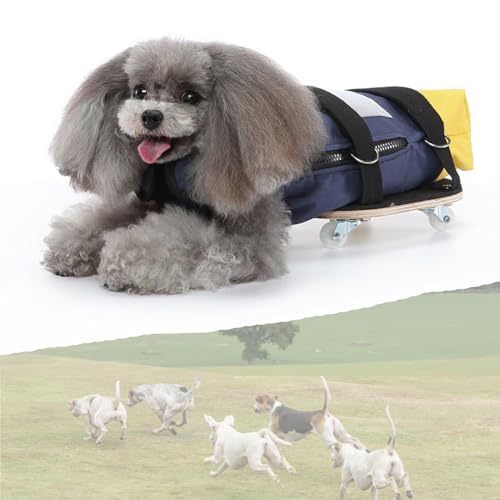 Chariot pour petit chien handicapé réglable à 4 roues - 3