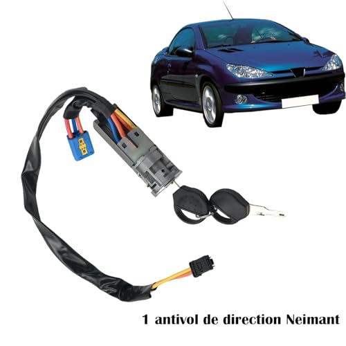 DawlQawwi Komplettes Set mit 3 Schlössern + Neiman + Tankdeckel + 2 Schlüssel, kompatibel mit Peugeot 206 (1998-)