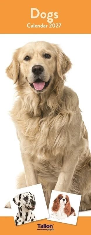 2027 Super Slim Month to View Spiral Bound Hanging Wall Calendar Home Office (Dogs) โ image 1