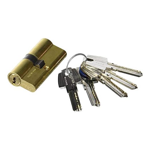 Tesa Assa Abloy 3010151 Cilindro Seguridad T60 /30X30 Latonado, 30 x 30 mm