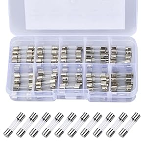 Vesaneae 100 Stk Feinsicherungen Sortiment