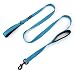 Soft &Thick Double Handle 6FT Leash with Reflective Stitching Premium Strength Dual Padded Handles for Medium, Large or XLarge Dog - 5 Vibrant Colors "Classic Comfort" (Reflective Bright Blue)