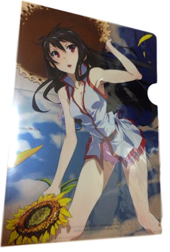 アカメが斬る！　秋葉原　クリアファイル　葬る。 Amazon.co.jp: アカメが斬る! vol.2 Blu-ray 【初回生産限定版