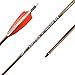 ARCTIRA 12Pcs Archery Traditional Carbon Arrows for Recurve Bow with Feather for Longbow Compound Bow Lightweight Hunting Arrows for Adults Target Practice (Brown Shaft, 500 Spine)