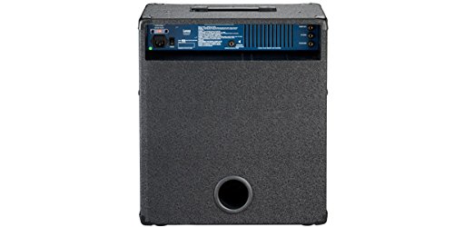 Amazon.co.jp: Laney (レイニー) 165ワット ベースコンボアンプ RB4