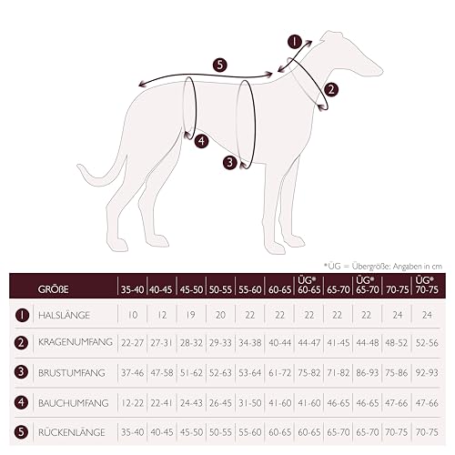 EDEL&SCHNELL Whippet Galgo Greyhound Windhund Hundegeschirr verstellbar dunkelgrün Größe XL Geschirr für große Hunde aus Samt