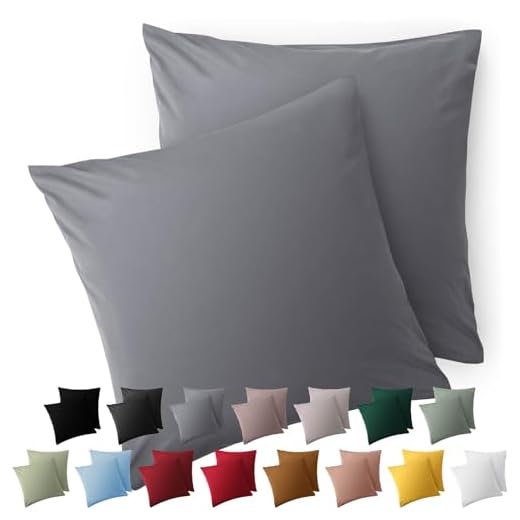 Blumtal Taie Oreiller 65x65 Lot de 2 - Housse de Coussin Microfibre - Taies d'oreillers avec Fermeture enveloppe, certifiée Oeko-Tex, Extra Douce et Lavable - Gris