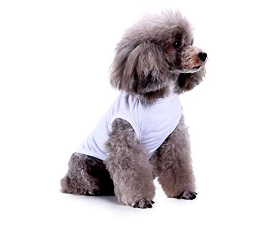 YAODHAOD Dog T-Shirt, Dog Shirts Blank Clothes, Summer Pet Plain Tee Vests Sweatshirt for Medium Small Cats Dogs (XXL, White)
