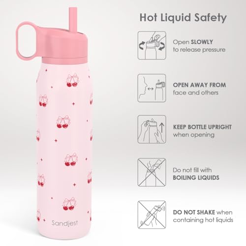 Image of Cherry Water Bottle with Twist Lid Stainless Steel 20oz, Travel Insulated for Sports & Gym, Gift for Women Girl Birthday Christmas