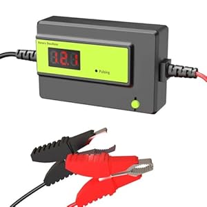12V,24V,36V,48V Battery Desulfator, Automatic Pulse Reconditioner Extend Battery Life For Lead-Acid Batteries (12V-48V Green 400Ah Large Clips) 1 419izoqutal. sl500 . ss300
