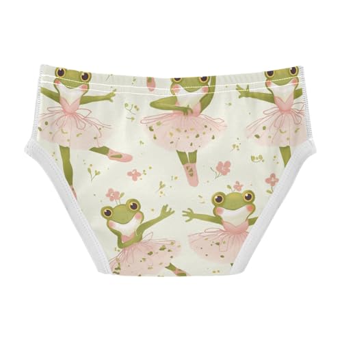 Wusikd Frog Ballerina Boys' Underwear Cotton Boys Briefs Soft Toddler Underwear 2T2