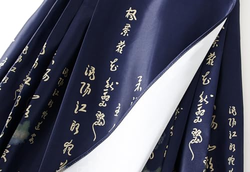 Women's Long Horse Face Skirt Traditional Ming Dynasty Horse Face Pleated Skirt Chinese Ancient Horse Face Skirt3