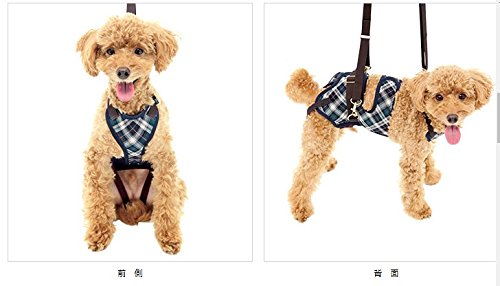【新品】LaLaWalk 小型犬 ダックス 緑 チェック 歩行補助 ハーネス Amazon | 歩行補助ハーネスLaLaWalk小型犬・ダックス用 スクール