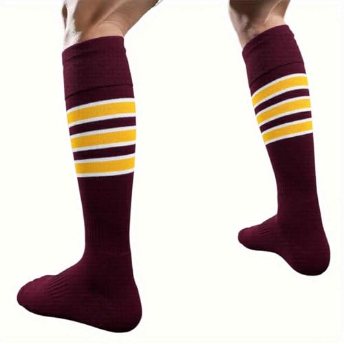 View 5