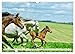 Elegant Horses - Exuberant and Carefree (Wall Calendar 2026 DIN A3 Landscape), CALVENDO Monthly Calendar: Horses in Trot and Gallop on the Paddle (CALVENDO Animals)