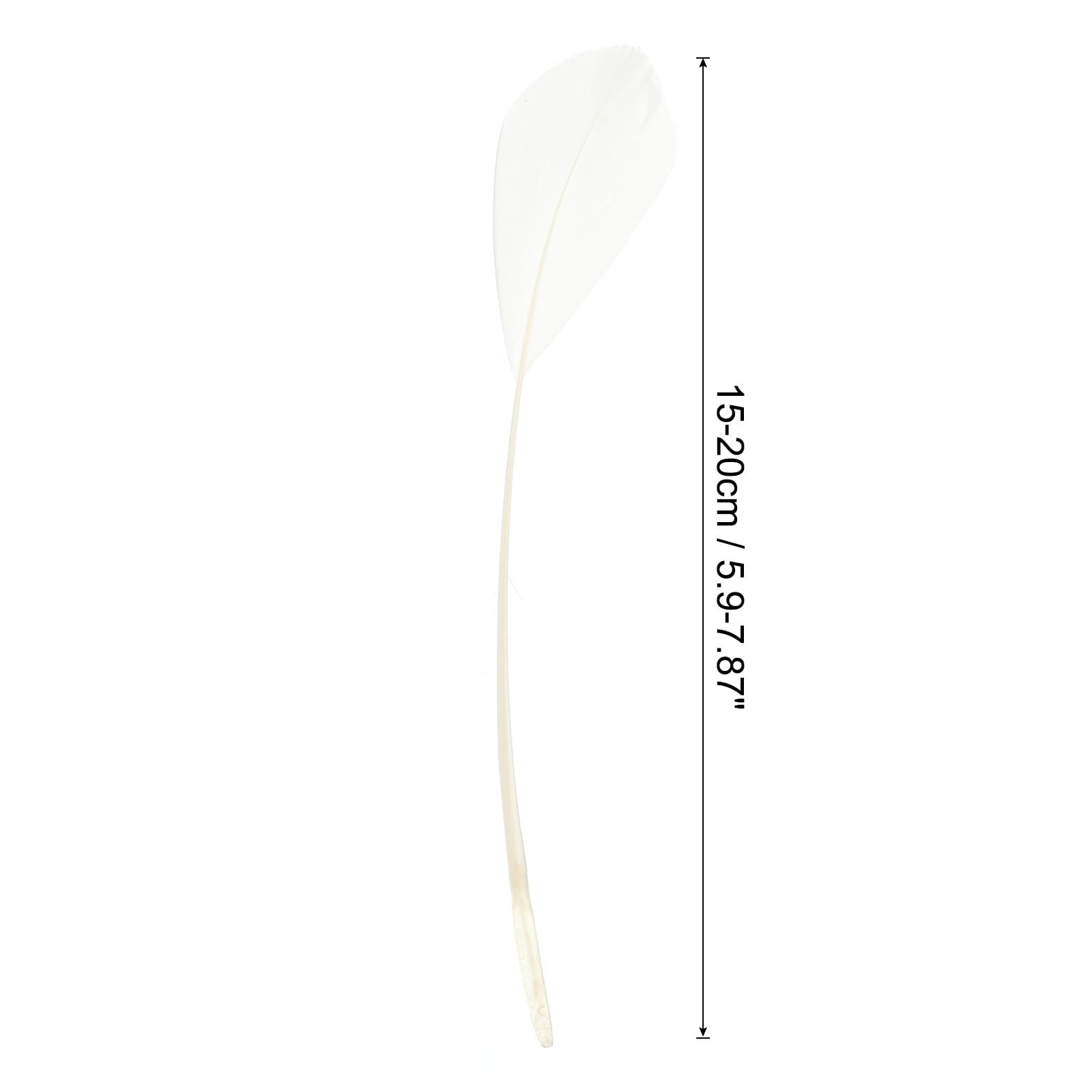PATIKIL 6-8 Inch Goose Feathers, 100 Pack Bulk Natural Feathers for Crafts Carnival Handwork Clothing Costumes Wedding Party Style 4, White