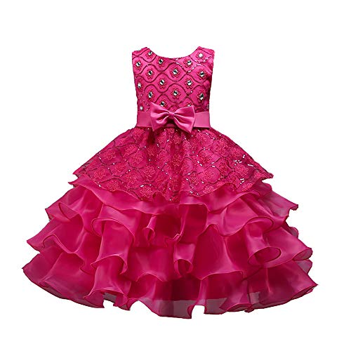 Vestido de tutú de tul para niña BaronHong con encaje de flores