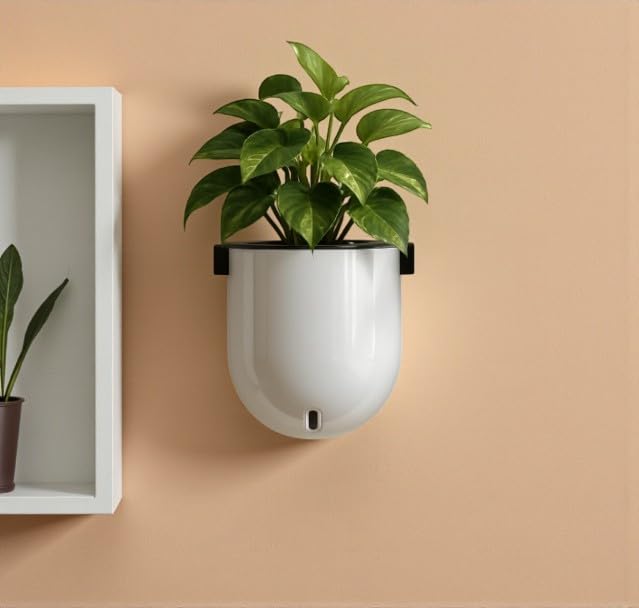 Image of Indian Discovery Self Watering Wall Hanging Planter|Hanging /Hooked Flower Pots for Home, Balcony, Vertical Garden Decor Flower Pots(1 PC,White, Sphere)|6 Inch UV-Resistant Plastic Plant Pots