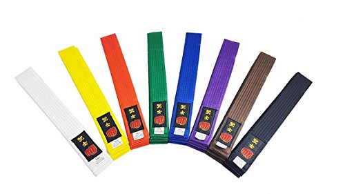 Longford Store UK Karate Belt Martial Arts Taekwondo Judo Kickboxing Ju-Jitsu Shotokan (Red, 280cm Senior)