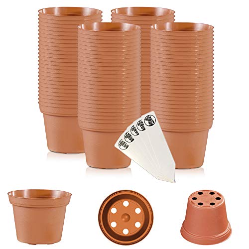 The Hydroponic City 2