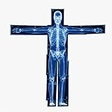 Human X-Rays for Kids' Light Table - 14-Piece Skeleton Puzzle & 7 Body System Charts (Nerves, Vessels...