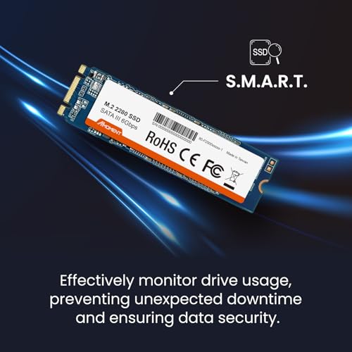 Image of Mmoment 256GB M.2 2280 SATA 6Gb /s Internal SSD - up to 500MB /s (SM2258XT)