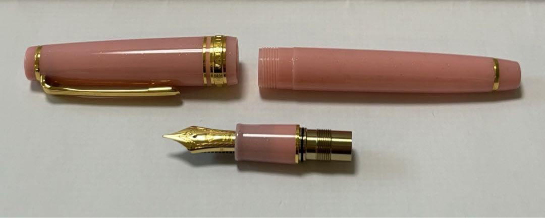 Amazon.co.jp: SAILOR×ラデスペリテ オリジナル万年筆 サマーピーチ