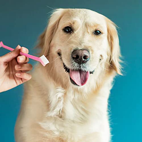 NITAIUN 6 Pezzi Spazzolino da Denti per Animali